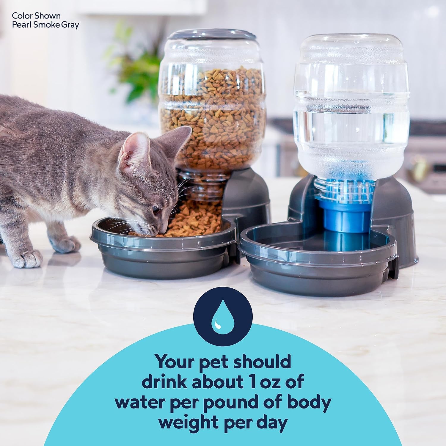 petmate-replendish-automatic-dog-water-dispenser-gravity-pet-waterer-with-microban-protection-base-100-bpa-free-4-gallon-wide-mouth-bowl-with-2-extra-filters