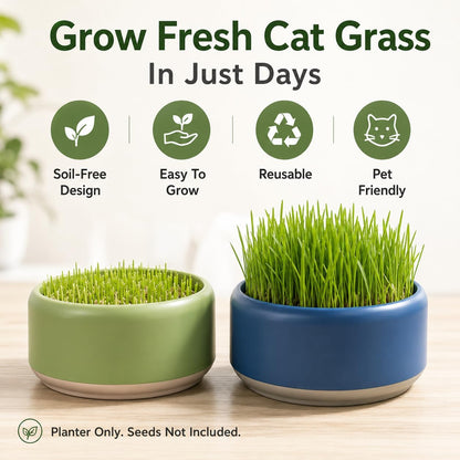 Komorebi Cat-Specific Reusable Hydroponic Herb Growing Box Set-Easy to Use-3 Colour (Seeds Not Included) (Green)3