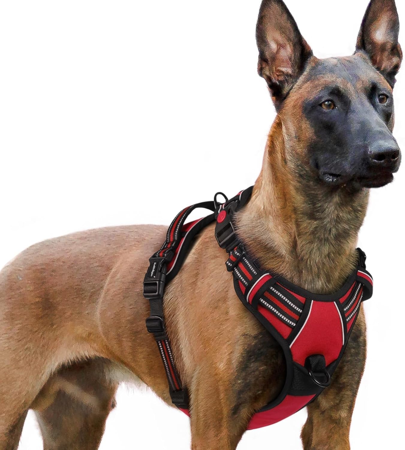 rabbitgoo-dog-harness-medium-sized-updated-easy-on-off-with-3-buckles-no-pull-no-choke-walking-with-2-clips-and-handle-adjustable-soft-reflective-blue-medium