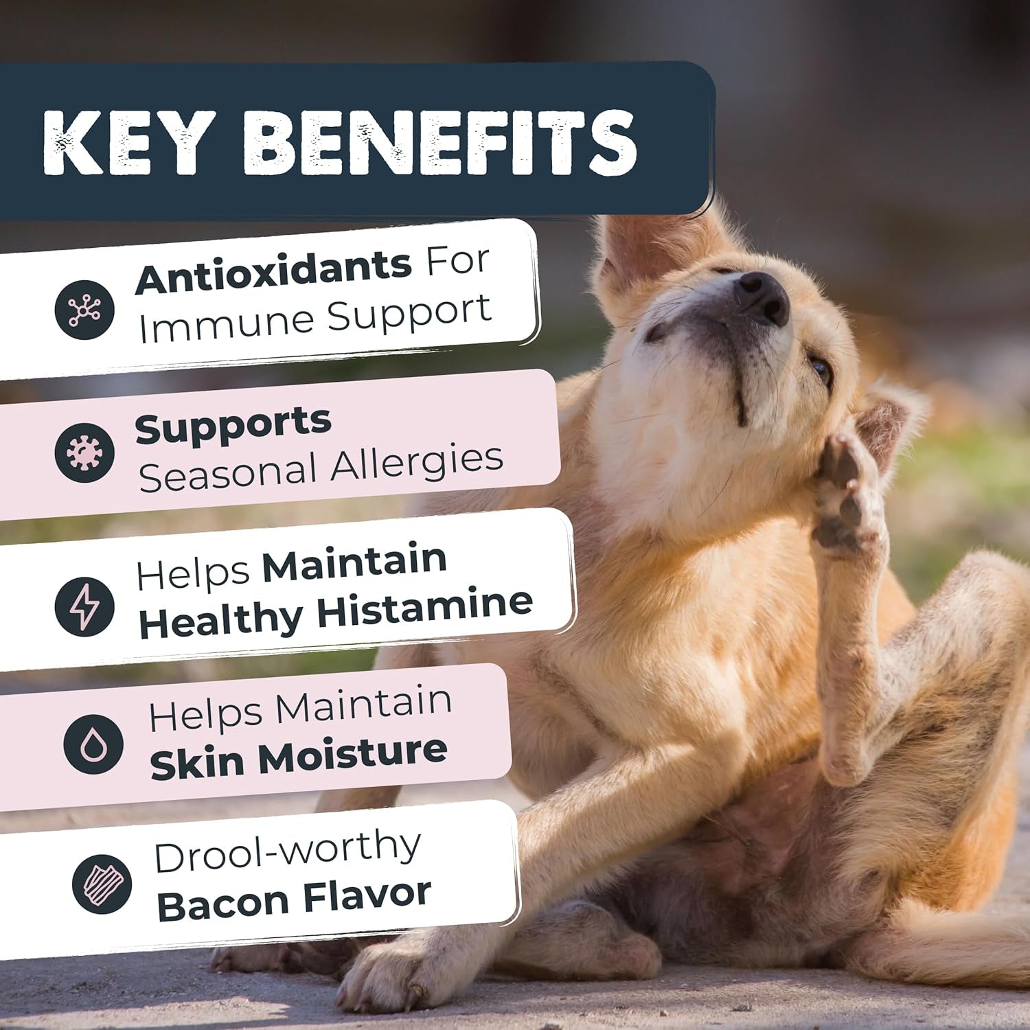 mighty-paw-dog-allergy-chews-itch-relief-immune-support-120ct-bacon-flavor-supports-normal-immune-health-seasonal-skin-support-vet-formulated-made-in-usa