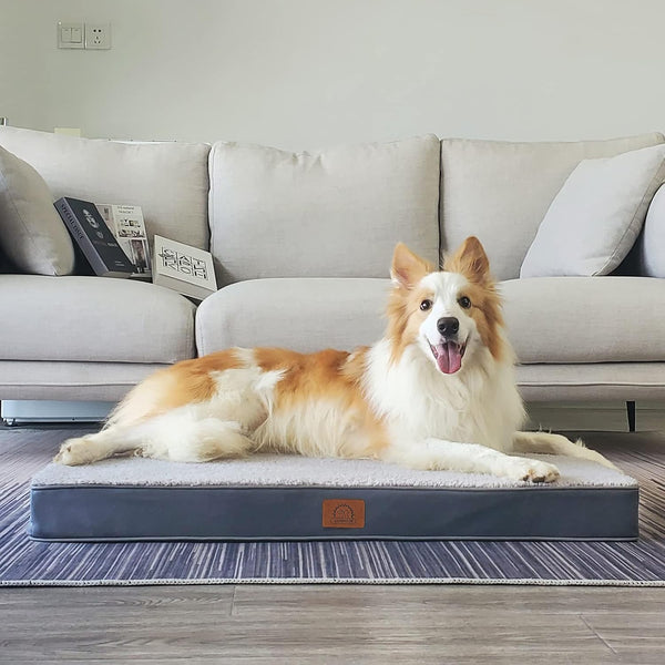 Sunheir Washable Extra Large Dog Bed Covers Soft Plush Replacement, Waterproof Dog Bed Liner, Pet Bed Cover with Zipper 44X32X3 Inches, Grey, Cover Only5