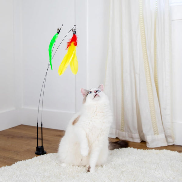 2 Cat Toy + 9 Feather Lures Interactive Cat Toys for Indoor Cats Interactive Kiteen Toys Enrichments for Boared Indoor Adult Cats Kittens Suction Cup Juguetes Para Gatos Teaser Feather Wand4