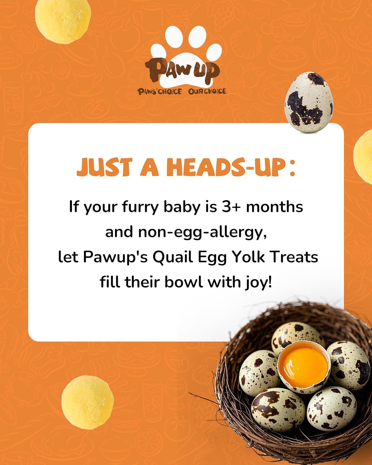 pawup-freeze-dried-quail-egg-yolk-pet-treats-freeze-dried-pet-food-for-dogs-cats-pure-fresh-ingredient-4-2-oz-rawhide-free-gluten-grain-free