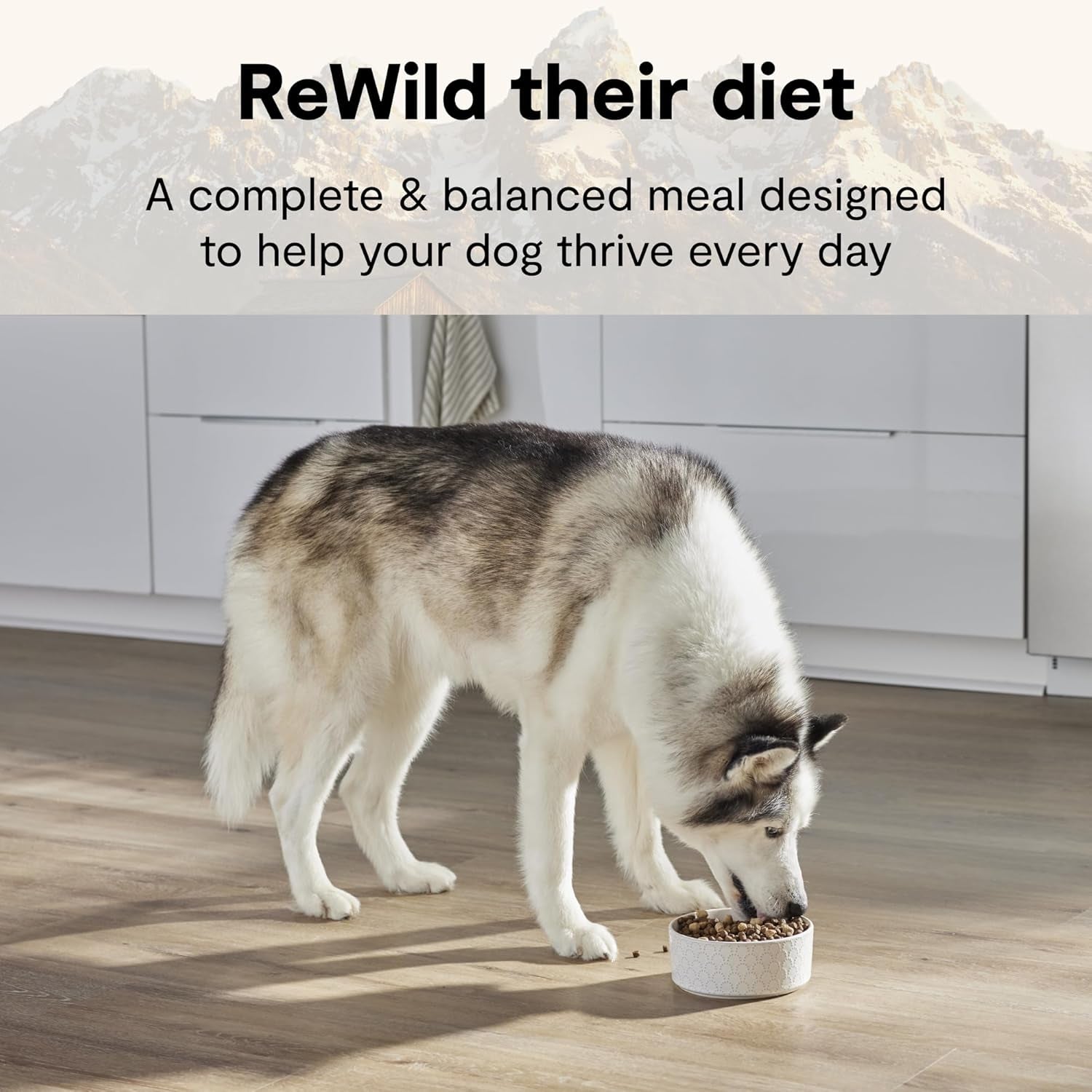 open-farm-rawmix-ancient-grains-dry-dog-food-wild-ocean-kibble-20lb-bag-wild-caught-whitefish-salmon-and-rockfish-freeze-dried-raw-chunks-100-traceable-ingredients-non-gmo-fruits-veggies
