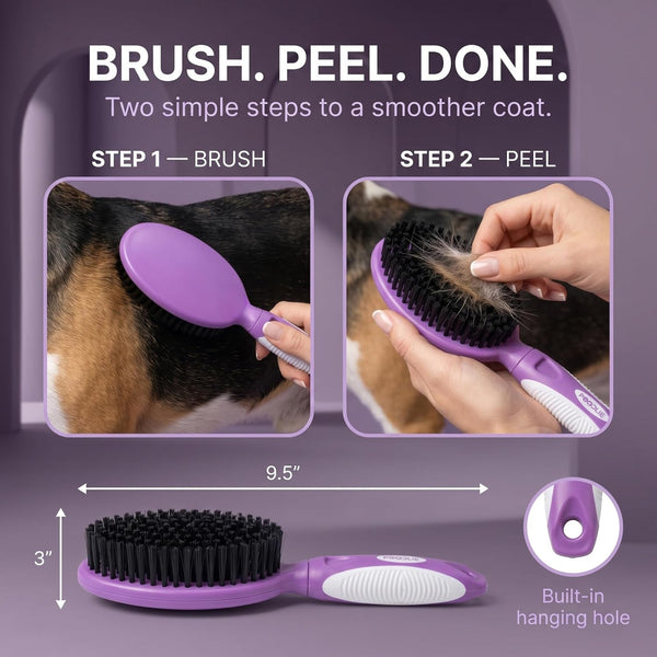 Soft Bristle Dog Brush for Short Haired Cats or Dogs - Firm Bristles to Remove Dust, Dirt, and Loose Fur - Hook and Rubber Handle7