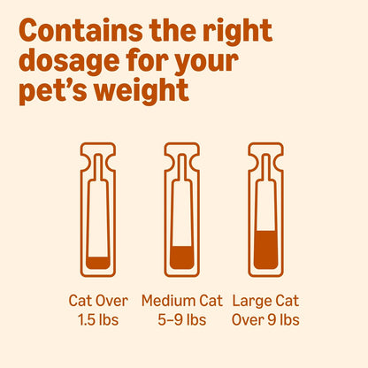 Amazon Basics Topical Flea Treatment for Medium Cats (5-9 Pounds), 4 Count, Packaging May Vary8