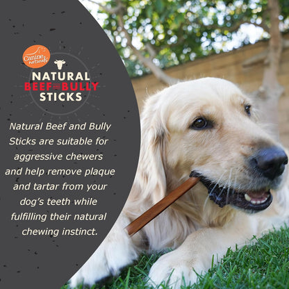 Canine Naturals | Natural Beef & Bully Sticks | Long-Lasting, Odor Free, High Protein Chews Made with 100% Real Bully | 4 Count Medium Sticks2