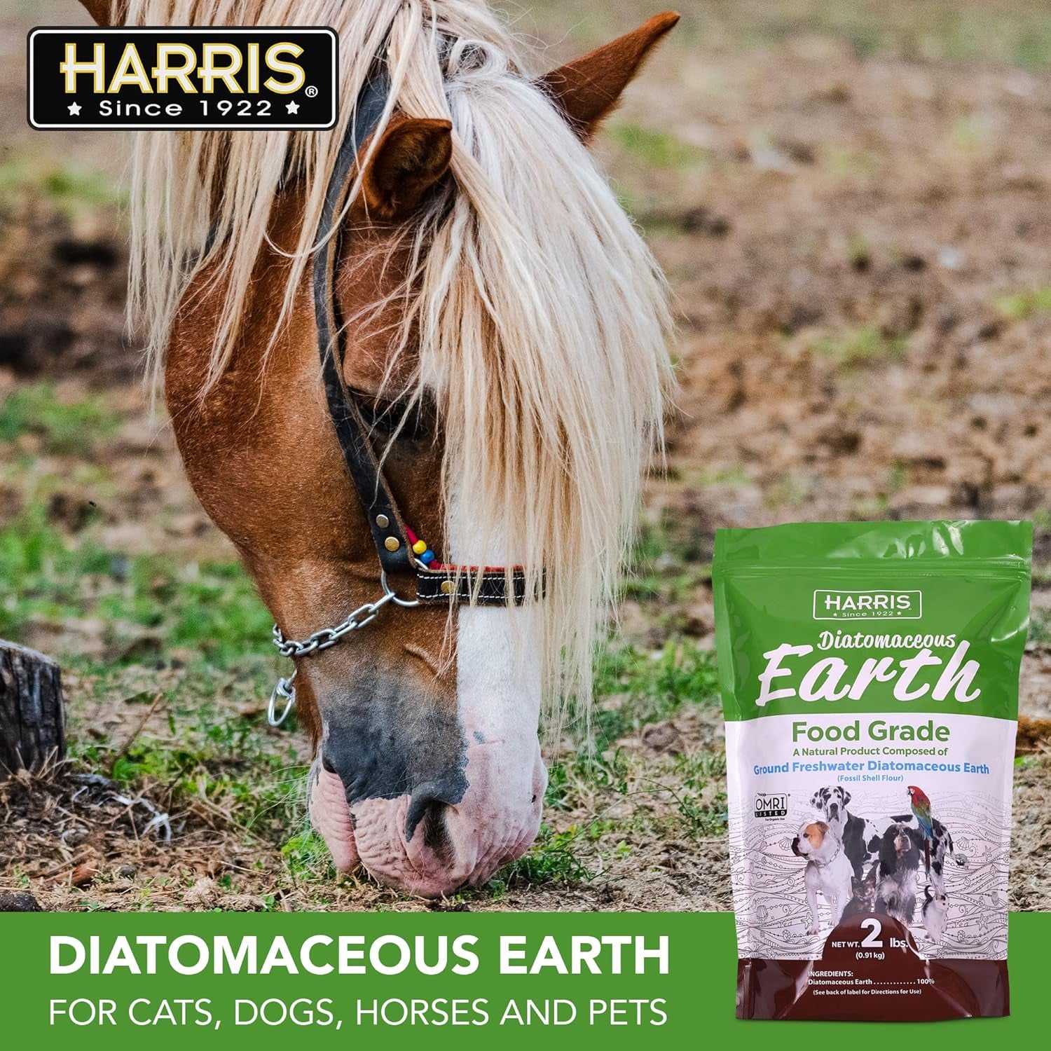 harris-food-grade-diatomaceous-earth-for-pets-for-cats-dogs-horses-and-pets-certified-for-organic-use-2-lb-bag