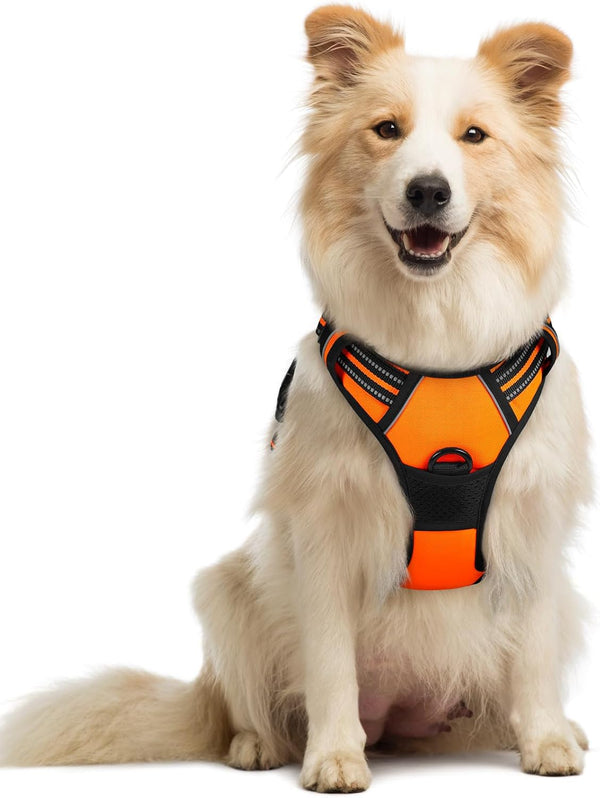 Rabbitgoo Dog Harness, No Pull for Large Dogs with 2 Leash Clips, Pet Vest | No Choke with Handle, Adjustable Soft Padded, Reflective, Easy Control for Walking, Black, Large134