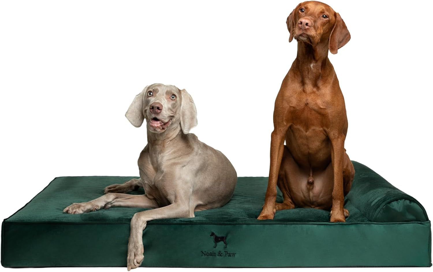 noah-paw-large-dog-bed-35x25x8-7-inch-orthopedic-dog-beds-eggshell-memory-foam-infused-with-cooling-gel-water-resistant-machine-washable-includes-inner-cover-velvet-collection
