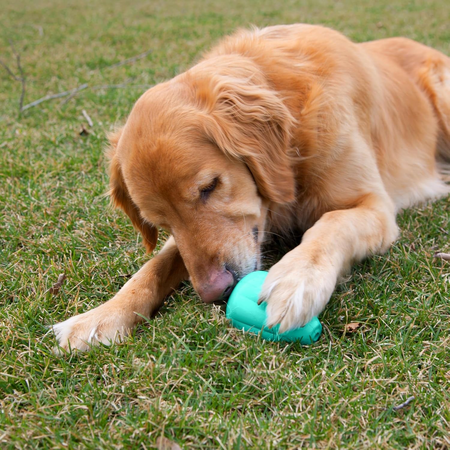 chew-king-by-mammoth-premium-treat-dispensing-dog-toy-durable-natural-rubber-chew-toy-safety-air-vent-interactive-enrichment-toy-for-aggressive-chewers-large-pack-of-2-teal