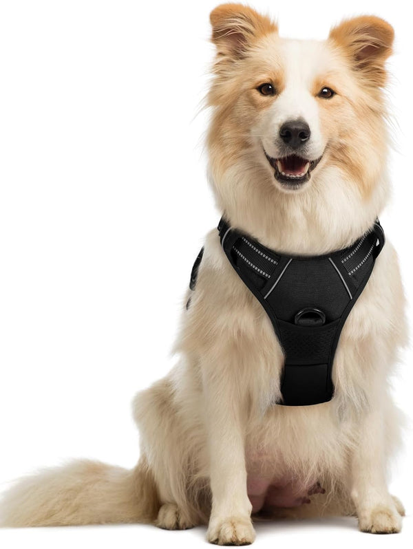 Rabbitgoo Dog Harness, No Pull for Large Dogs with 2 Leash Clips, Pet Vest | No Choke with Handle, Adjustable Soft Padded, Reflective, Easy Control for Walking, Black, Large39