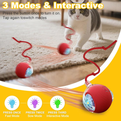 2-Pack USB Rechargeable Smart Cat Toy Ball, 360° Rotation Automatic Moving Chase Toy, Obstacle Avoidance Interactive Play with 4 Spiral Springs, Enrichment Toys for Indoor Cats, Puppies & Small Dogs2