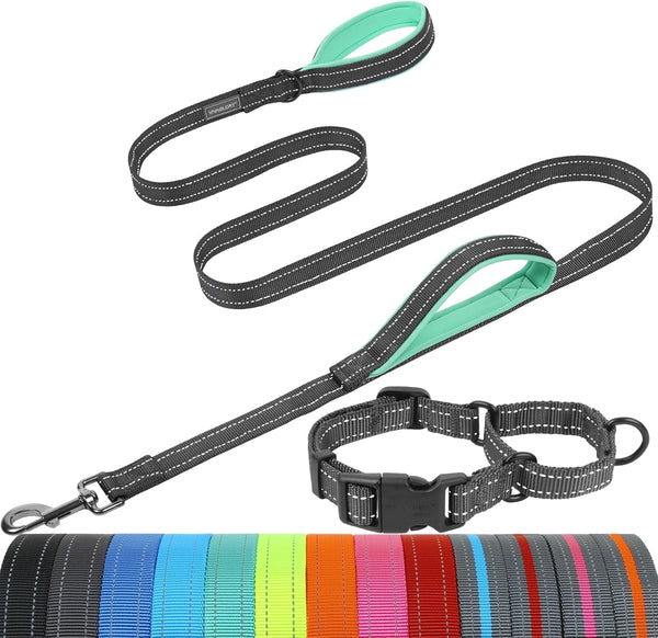VIVAGLORY Double Handle Dog Leash Twingrip, 6Ft X 1In, Navy | Dog Leash for Collar with Traffic Handle & 2 Loop for Walking & Training, Traffic Control Reflective Heavy Duty Puppy Pet38