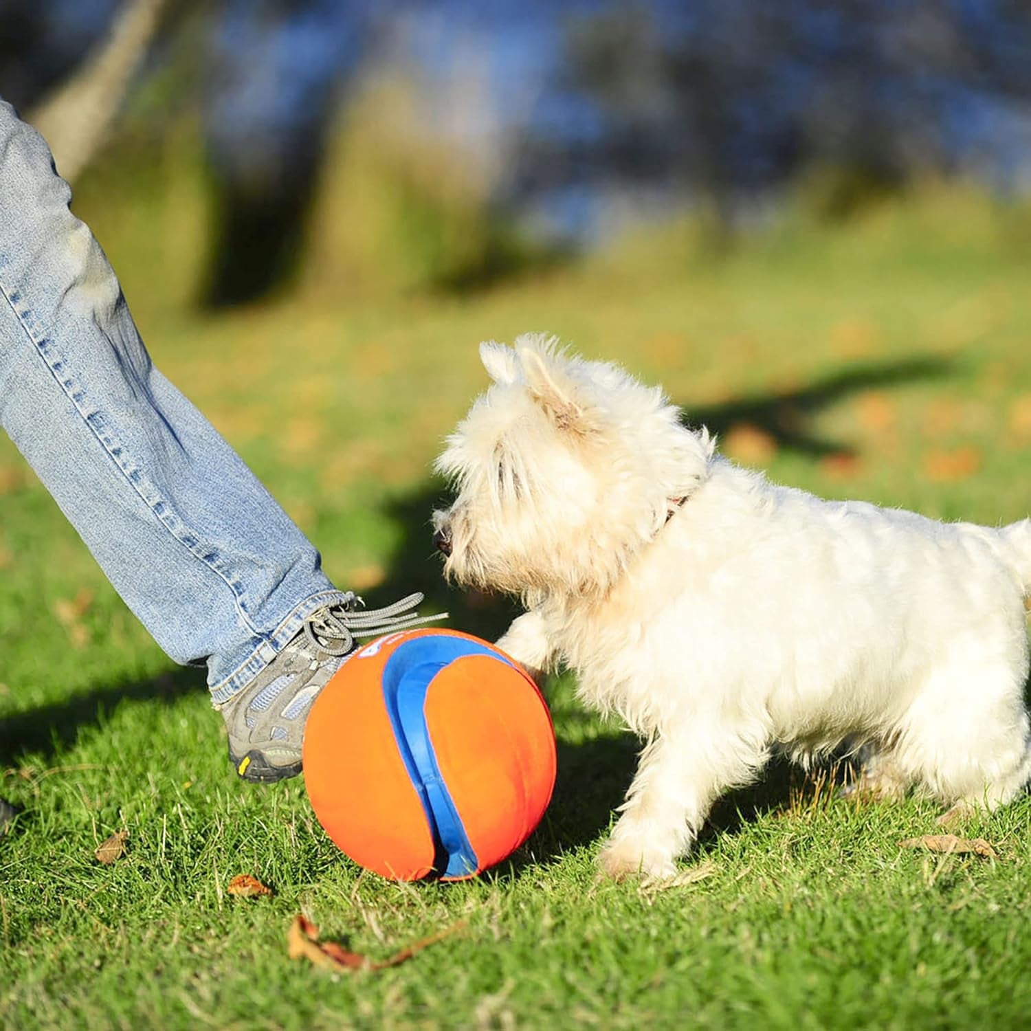 chuckit-kick-fetch-ball-dog-toy-floats-in-water-large-8-inch-diameter-durable-rubber-and-foam-build-interactive-play-design-great-for-pool-or-lake-sessions-built-for-big-breed-dogs-each-day