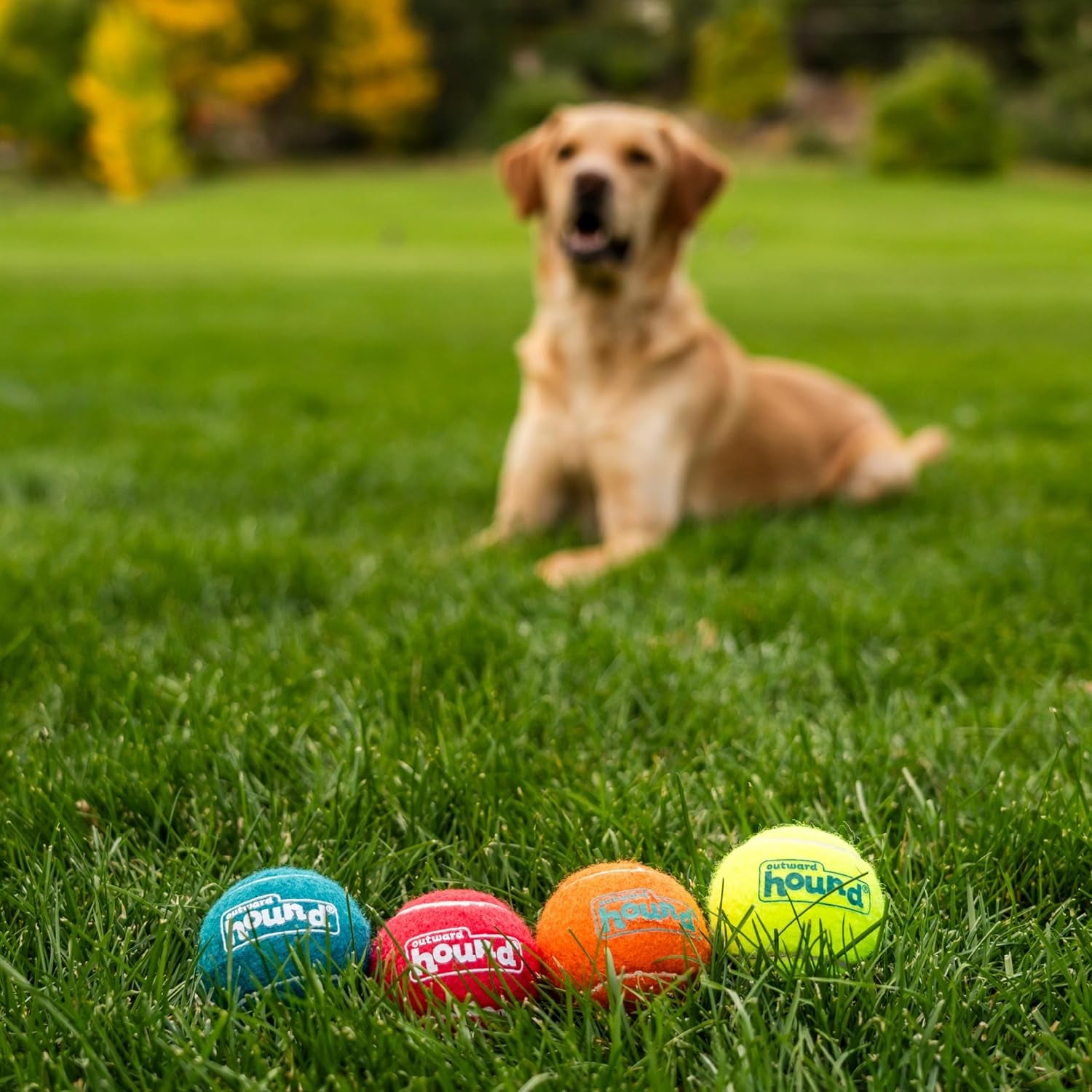 outward-hound-squeaker-ballz-squeaky-tennis-balls-for-dogs-under-50-lbs-interactive-dog-toy-for-fetch-training-medium-2-5-4-pack