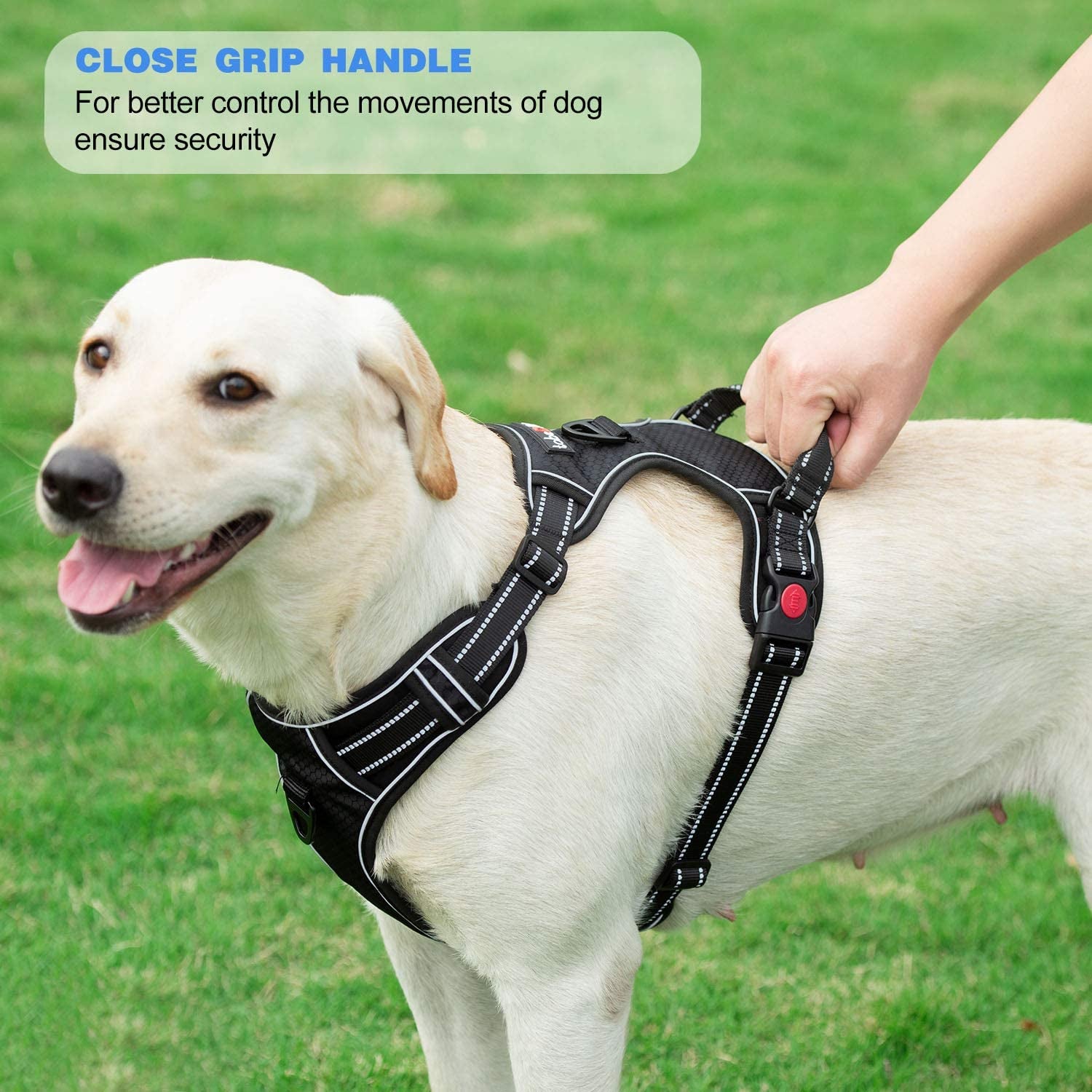 tobedri-no-pull-dog-harness-adjustable-reflective-oxford-easy-control-medium-large-dog-harness-with-a-free-heavy-duty-5ft-dog-leash-blue-m