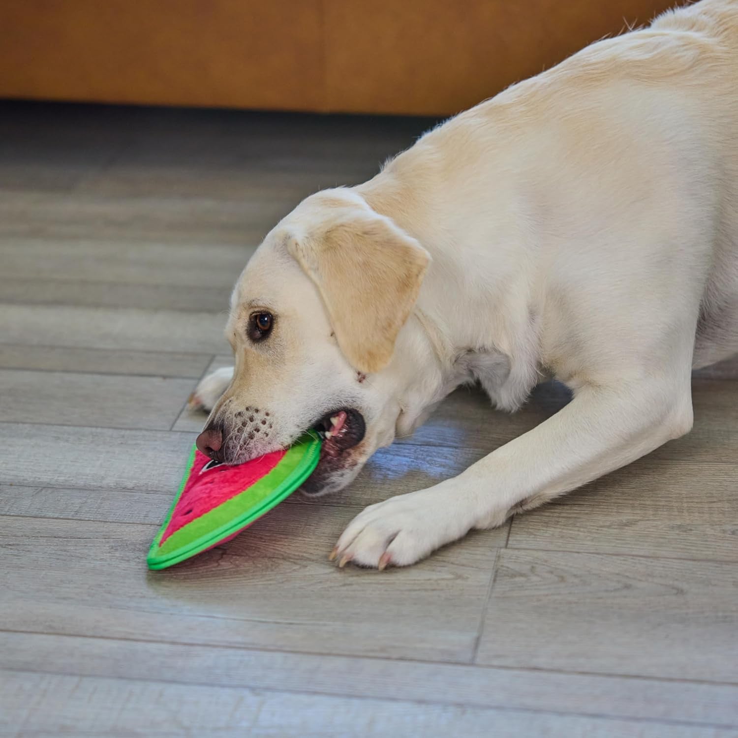 outward-hound-tough-skinz-durable-squeaky-dog-toy-with-two-tough-layers-watermelon-red-medium