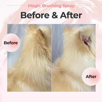JAYU PET Magic Brushing Spray for Dogs (5.8Fl Oz, 170Ml) | Fur Detangler & Dematting Solution, Hypoallergenic Deodorizer, Conditioner & Itch Relief, Shining & Grooming Spray7