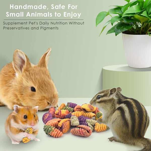 ERKOON Chinchilla Treats, Chew Toys for Teeth for Rabbit Guinea Pig Gerbil Rat Dwarf Hamster(Small Size)3