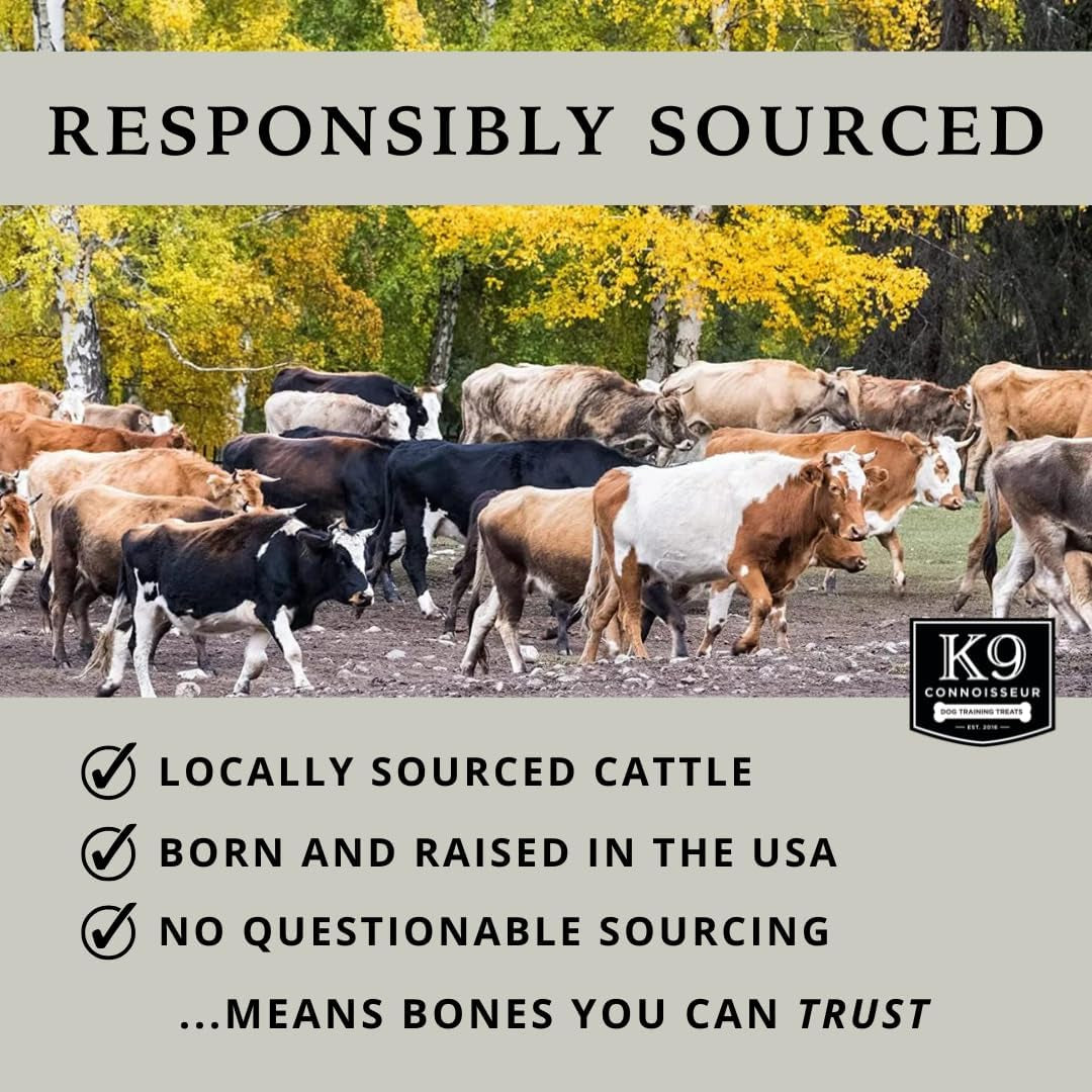 k9-connoisseur-beef-marrow-large-dog-bones-long-lasting-for-aggressive-chew-usa-made-single-ingredient-champ-bones-for-large-dogs-over-50-pounds-3-pack