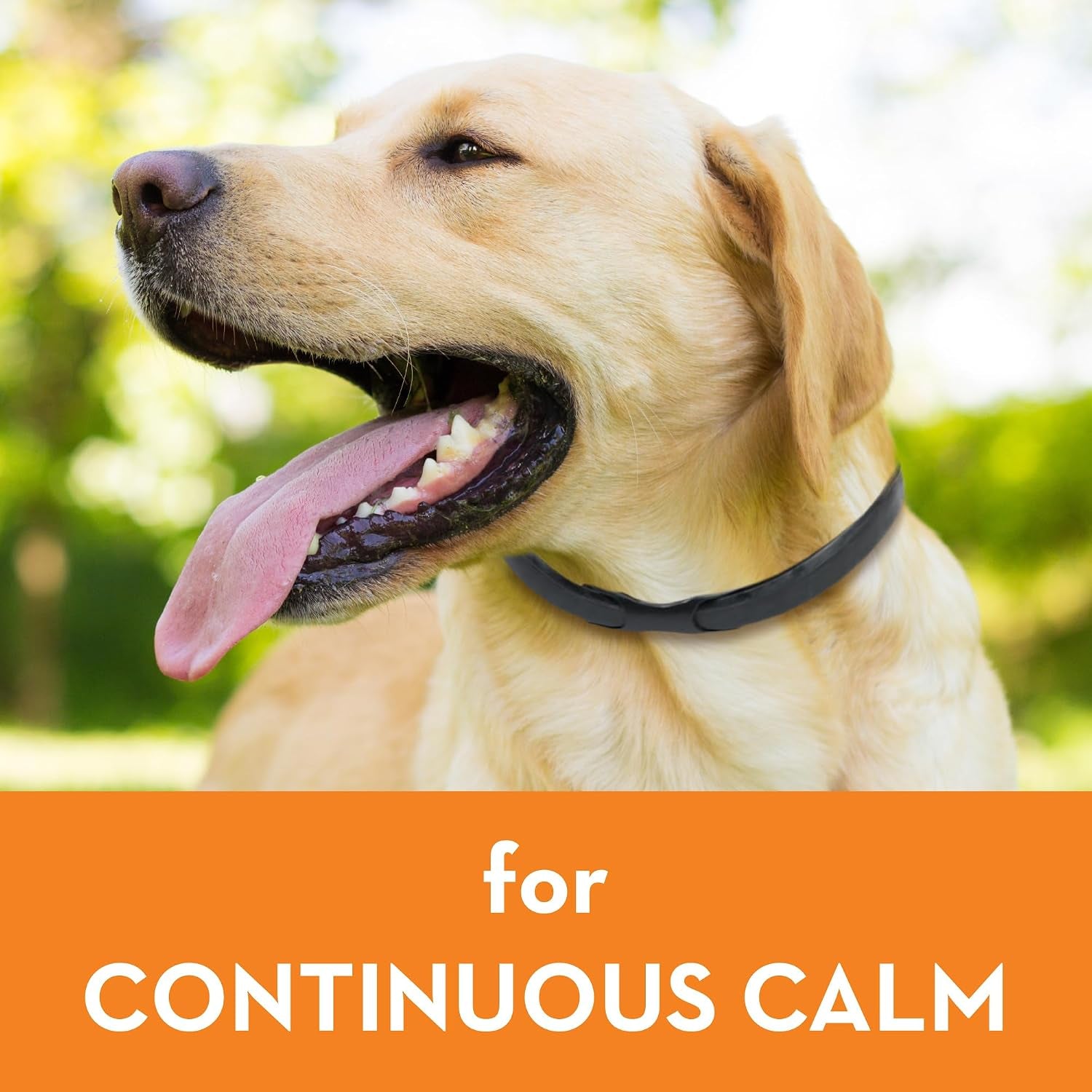 thunderease-calming-collar-for-dogs-large-drug-free-and-easy-to-use-pheromone-collar-for-dogs-easily-clips-on-and-helps-relieve-stress-from-common-triggers
