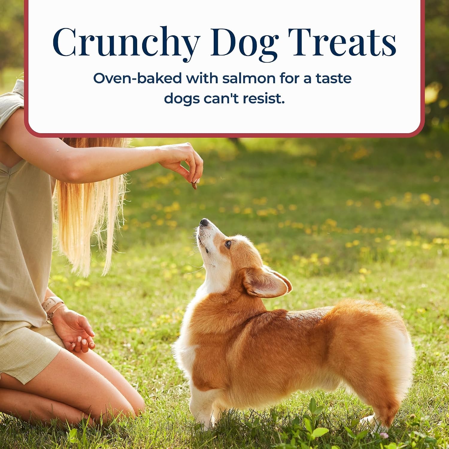 blue-buffalo-basics-crunchy-dog-biscuits-for-skin-stomach-care-limited-ingredient-diet-dog-treats-salmon-potato-recipe-6-oz-bag