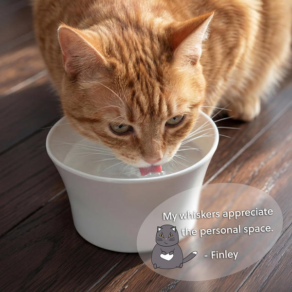 Elevated Cat Bowls for Water – Whisker & Neck Fatigue Shallow Cat Dishes – Raised Bowl for Indoor Cats – Vet-Recommended Height, Modern Pedestal Design – Non-Slip & Dishwasher-Safe – 8 Oz Powder Blue4