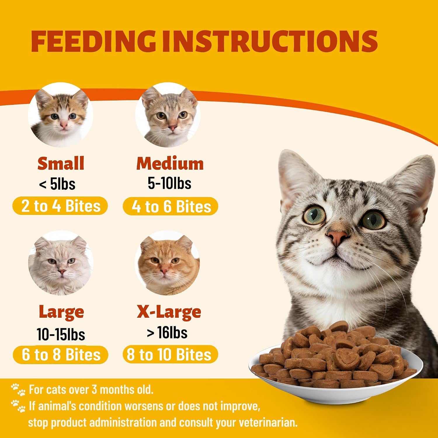 330-bites-pumpkin-cat-treats-natural-cat-treats-healthy-with-pumpkin-powder-for-cats-psyllium-husk-digestive-support-kitten-snacks-for-stool-firm-gut-health