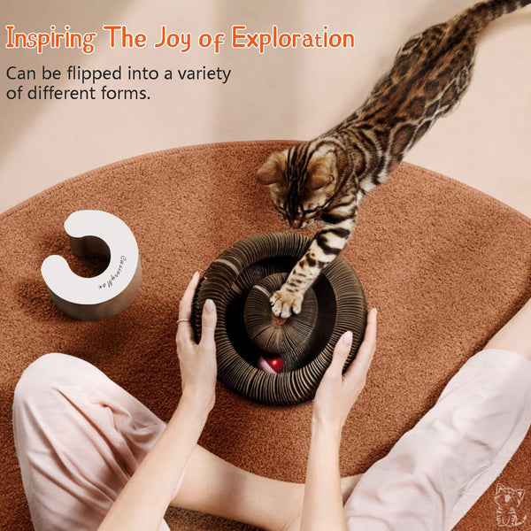 Cusierymax Cat Ball Adventure the Ultimate Interactive Mental & Physical Exercise for Indoor Cats3