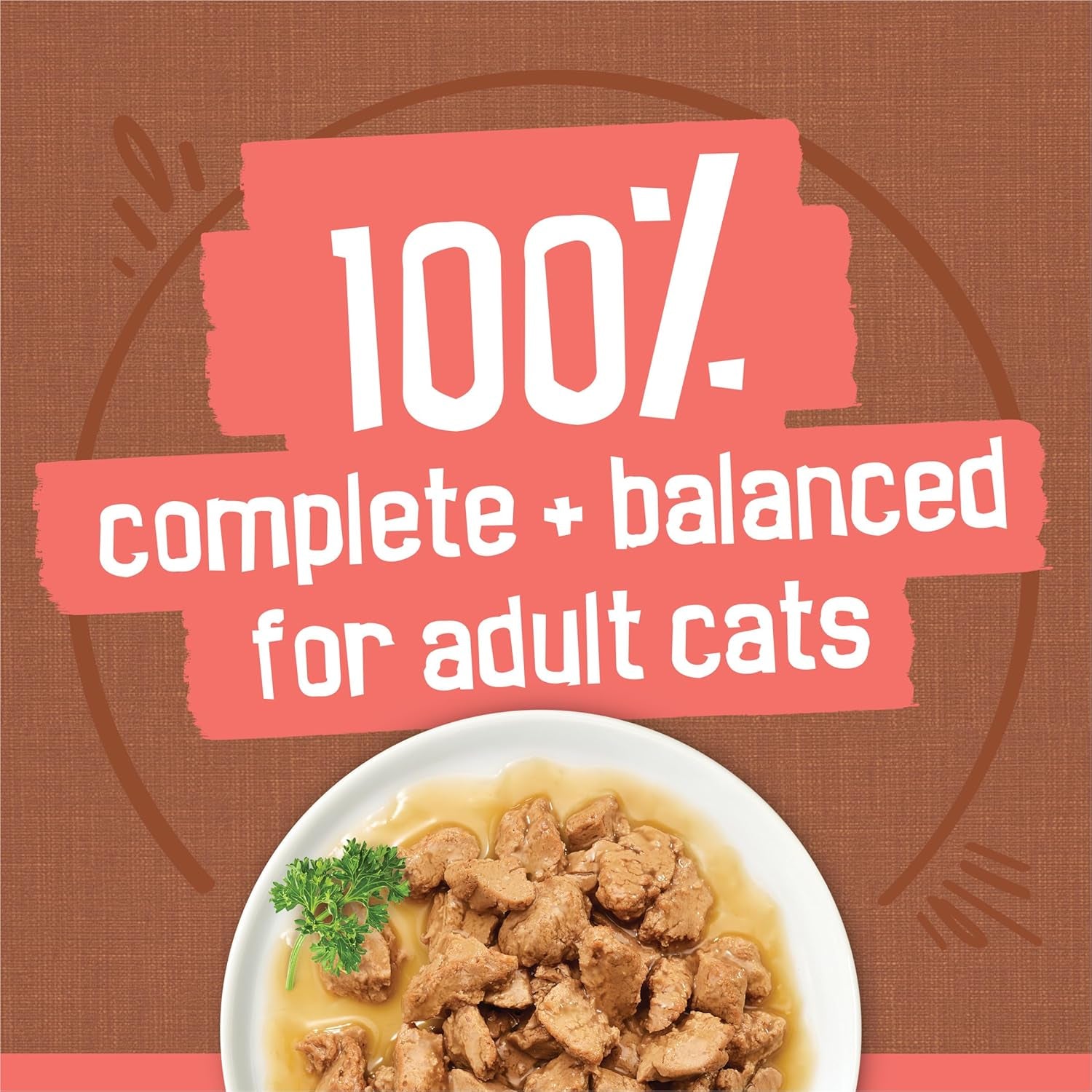 purina-friskies-extra-gravy-wet-cat-food-chunky-24ct-variety-pack-with-chicken-turkey-salmon-beef-pack-of-24-5-5-oz-cans