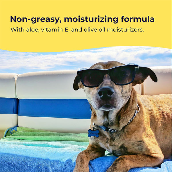 Gentle Creatures Pet Sun Protector - Dog Sunscreen SPF 30+ Eq - Skin Moisturizing Vitamin E, Olive Oil - No Zinc Oxide Safe for Dogs and Cats - Dog Beach, Camping Accessories, Sunscreen for White Dogs4