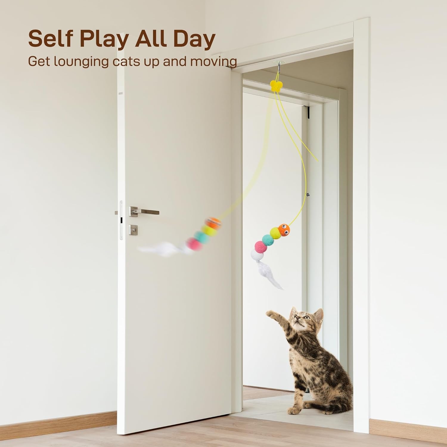 potaroma-interactive-cat-feather-toys-5-pcs-cat-teaser-retractable-hanging-indoor-kitten-play-chase-exercise-mental-physical-stimulation-for-all-breeds-and-species-retractable-hanging-cat-toys-indoor-kitten-play-chase-exercise-mental-physical-stimulation-for-all-breeds