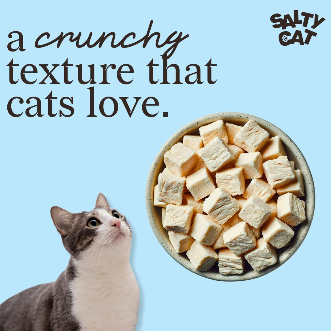 salty-cat-natural-freeze-dried-chicken-cat-treats-10g-bag-12-packs