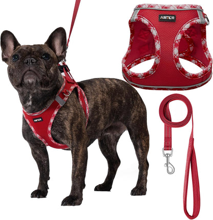 AMTOR Small Dog Harness with Leash Set, No Escape Easy Walk Puppy Harnesses for Training Walking, Step-In Reflective Soft Dogs Vest for XS S Medium Extra-Small Large Sized Dog(Green,S)17