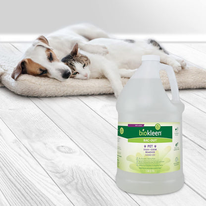 Biokleen Bac-Out Pet Stain Remover - Enzymatic, Natural, Plant-Based Destroys Stains & Odors, Safe for Surfaces & Fabrics, Carpet Cleaner - Eco-Friendly, Lavender Lime Scent, 1 Gallon8
