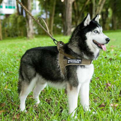 EXCELLENT ELITE SPANKER No Pull Dog Harness Padded Military Patrol Vest Adjustable Nylon Small Service Walking Dog Harness with Handle for Training Running(Blk-M) | Military Dog Harness,Cordura Nylon,Adjustable,Walking,Hiking,Training,Running,For Small Medium Large Dogs2