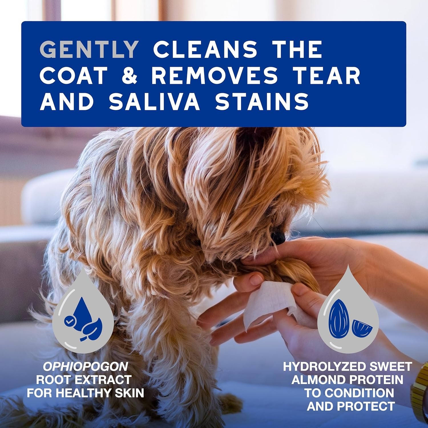 douxo-spa-dog-wipes-for-paws-butts-tear-stains-and-cleaning-100-wipes-multi-purpose-for-coat-and-paws-leaves-the-coat-and-skin-refreshed-skin-friendly-formula-can-also-be-used-for-cats