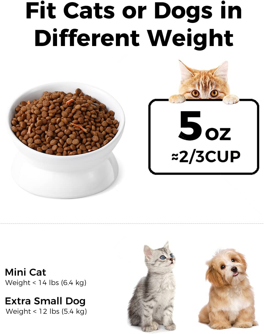 loejan-elevated-cat-food-bowl-5-oz-ceramic-raised-and-tilted-water-bowl-anti-vomiting-and-protect-pets-spines-dishes-for-small-dog-fat-faced-cat-kitten-white-1-pack