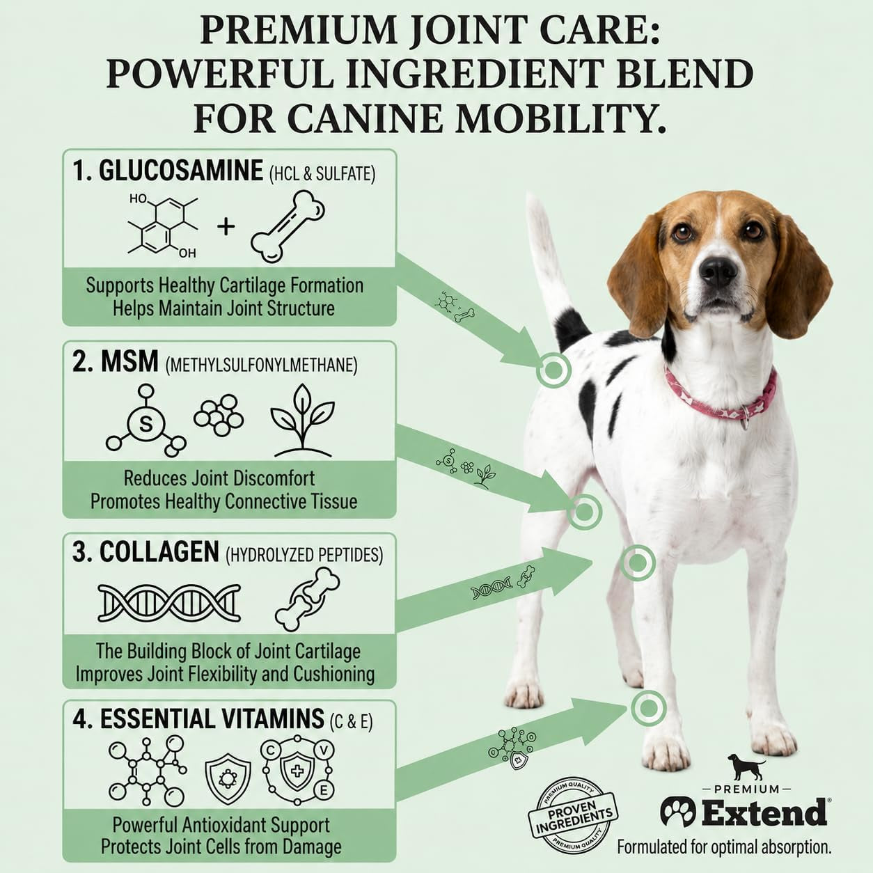 extend-joint-support-for-dogs-hip-and-joint-supplement-for-dogs-glucosamine-hip-joint-support-arthritis-supplement-support-healthy-joints-mobility-flexibility-for-all-dog-breeds-made-in-usa