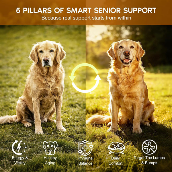 Turkey Tail Mushroom for Dogs,Senior Dog Supplement for Lumps, Bumps & Lipoma,Soft Chews with Reishi, Maitake, Turmeric & Astragalus,Supports Immune Health,Natural Chicken Flavor, 120 Count5