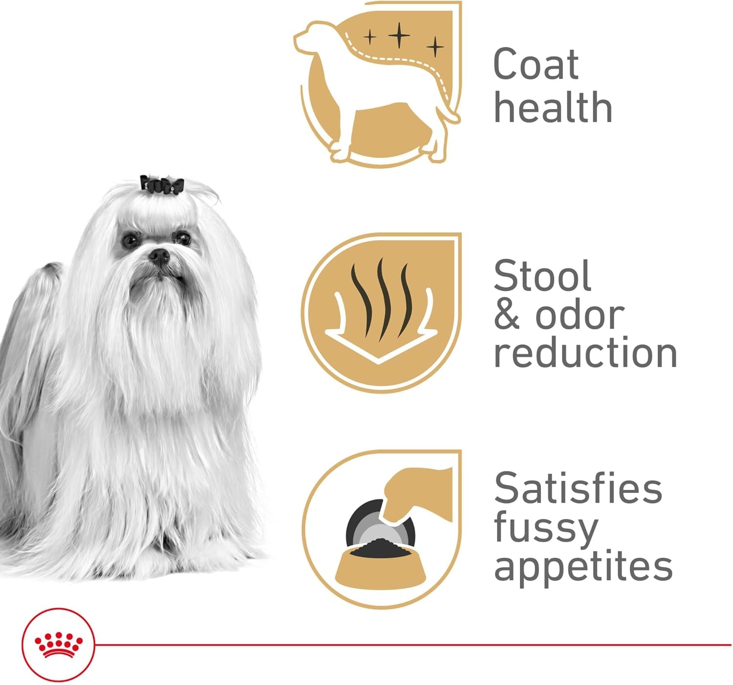 royal-canin-breed-health-nutrition-maltese-adult-dry-dog-food-2-5-lb-bag