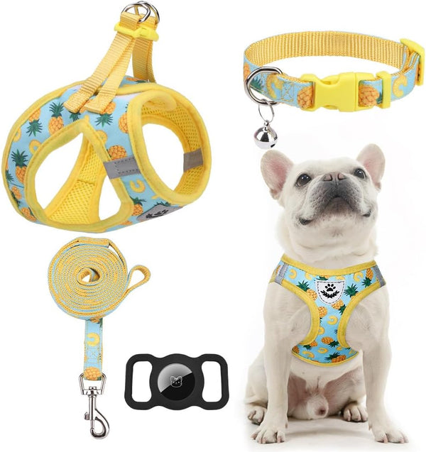 EXPAWLORER Plaid Small Dog Harness and Leash Set with Airtag Holder - No Pull Soft Padded Step in Dog Vest Harness Medium Sized Dog, Reflective Puppy Harness, Collar and Leash for Walking, Khaki S20