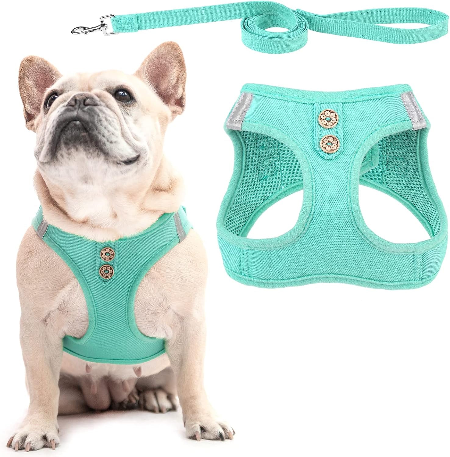 pupteck-dog-harness-and-leash-set-for-small-medium-dogs-no-pull-step-in-soft-mesh-puppy-cat-vest-harnesses-reflective-at-night-green-s