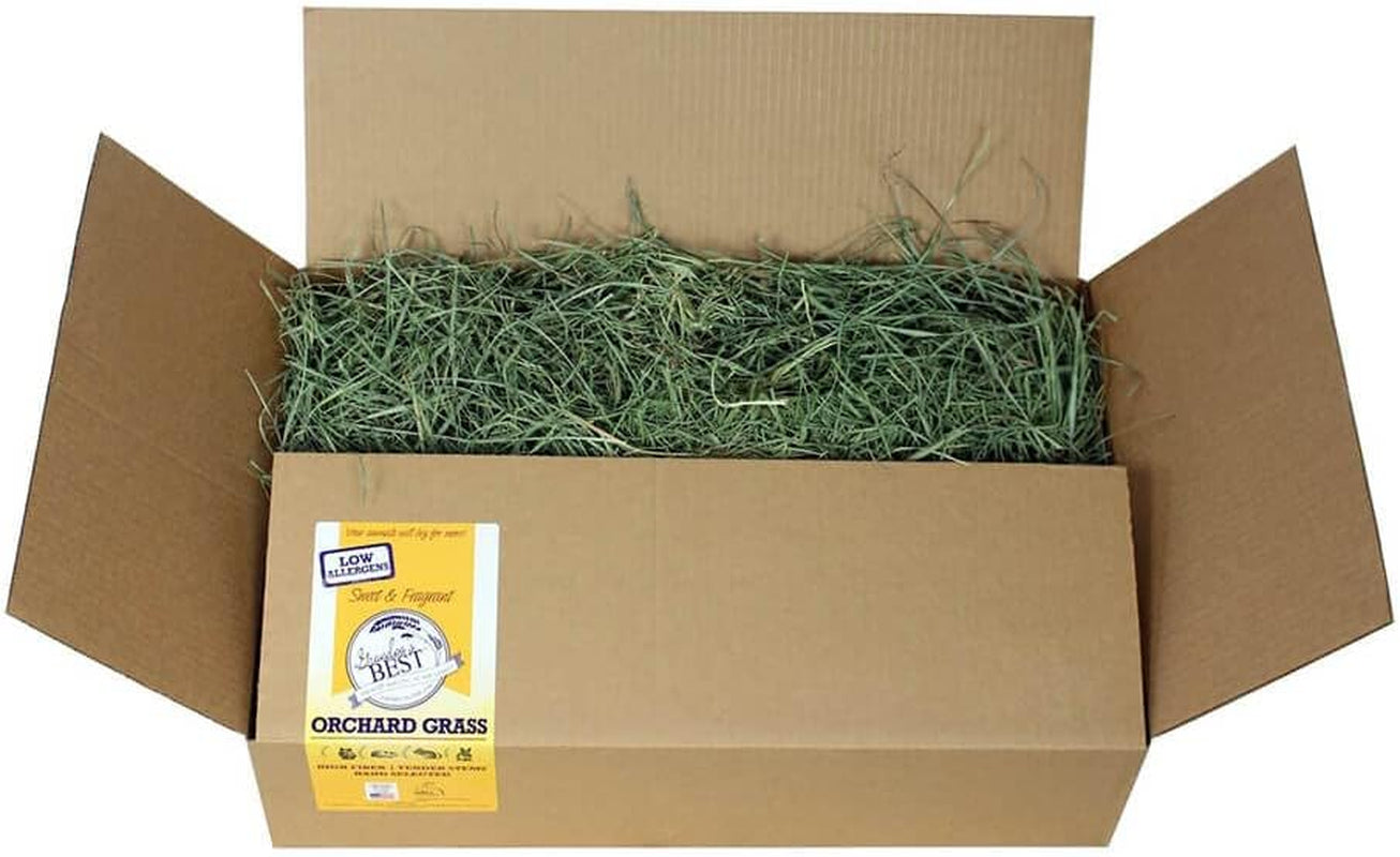 grandpas-best-premium-orchard-grass-hay-for-rabbits-guinea-pigs-chinchillas-hamsters-gerbils-20lb-loose-boxed-brown