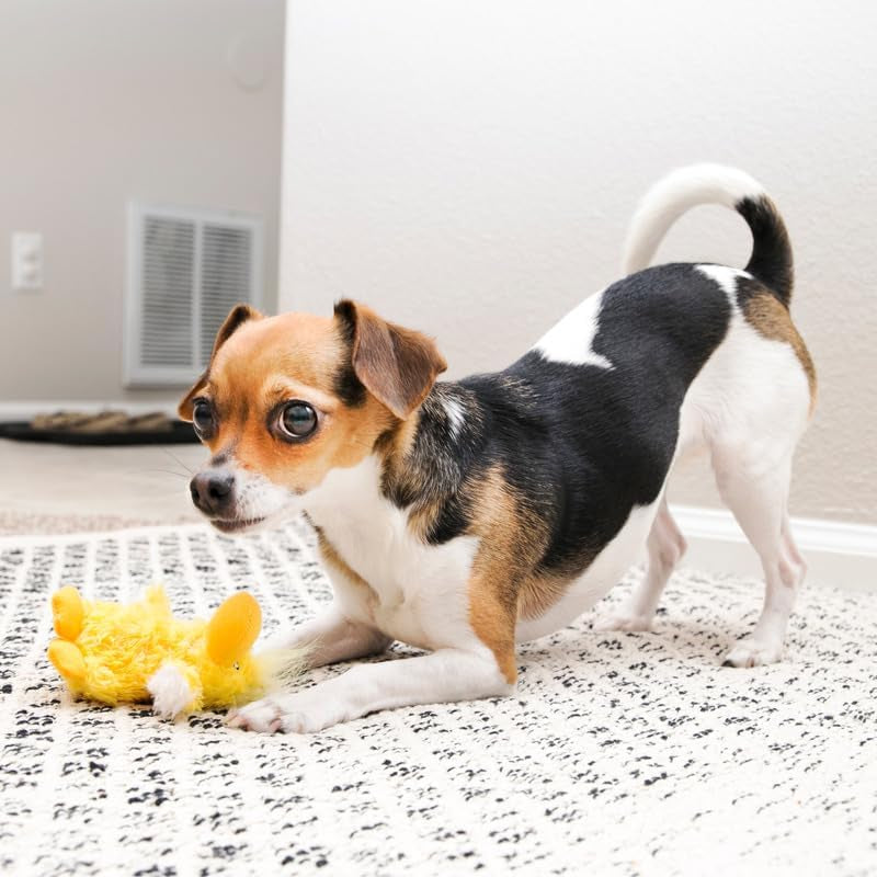 kong-low-stuffing-with-squeaker-dog-toy-x-small-3-animals-bear-duck-frog