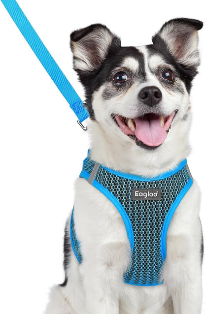 Eagloo Small Dog Harness and Leash Set, Step in Small Sized Puppy Pet Vest | Light, Soft, Breathable Air Mesh, Easy on and off with Hook & Loop, Reflective for Safe Walking, Pink, S10