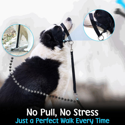 Gentle Leader for Dogs + 2X Free Training Clicker - Essential Gentle Leader | Gentle Leader with Quick-Snap Neck Strap & Nose Loop – Bonus Clickers with Wrist Strap for Leash Training (No-Pull Harness)6