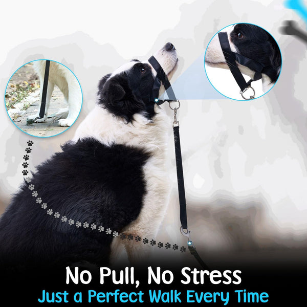 Gentle Leader for Dogs + 2X Free Training Clicker - Essential Gentle Leader | Gentle Leader with Quick-Snap Neck Strap & Nose Loop – Bonus Clickers with Wrist Strap for Leash Training (No-Pull Harness)6