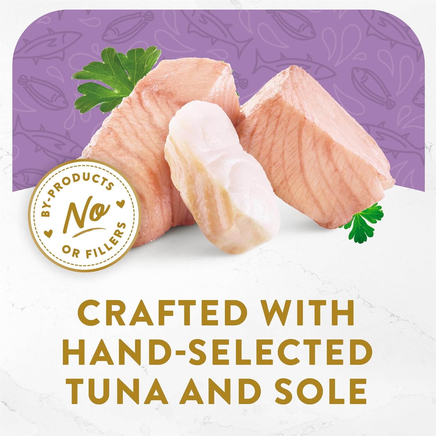 purina-fancy-feast-appetizers-skipjack-tuna-sole-1-1-oz-trays-10-pack